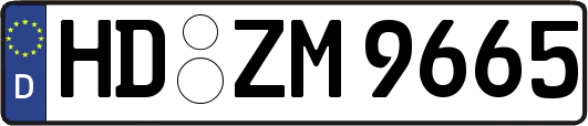 HD-ZM9665