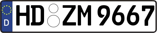 HD-ZM9667