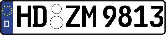HD-ZM9813
