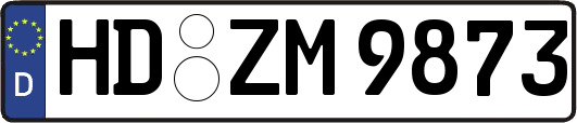 HD-ZM9873