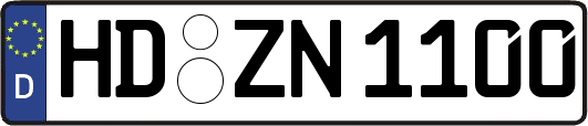 HD-ZN1100