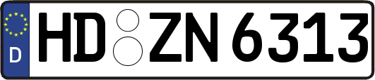 HD-ZN6313