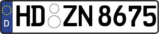 HD-ZN8675