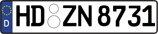 HD-ZN8731