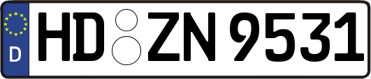 HD-ZN9531