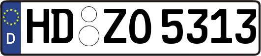 HD-ZO5313