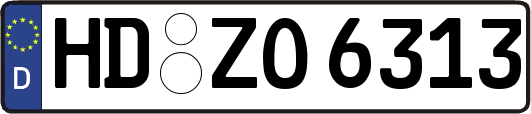 HD-ZO6313