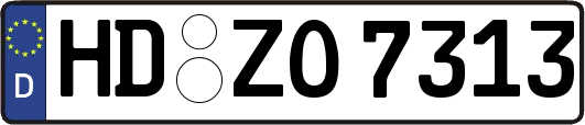 HD-ZO7313