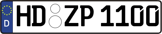 HD-ZP1100