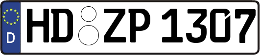 HD-ZP1307