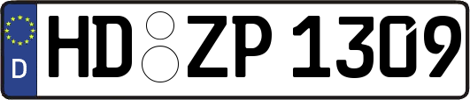 HD-ZP1309