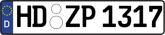 HD-ZP1317