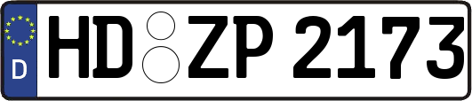 HD-ZP2173