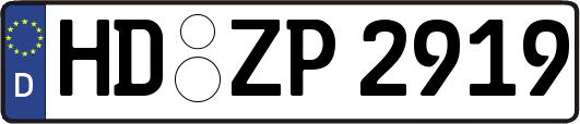 HD-ZP2919