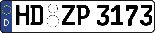 HD-ZP3173