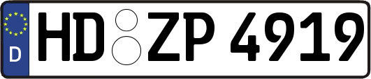 HD-ZP4919