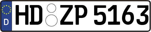 HD-ZP5163