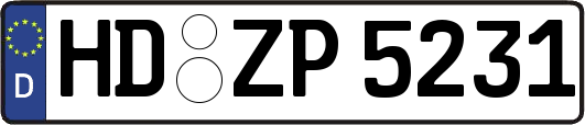 HD-ZP5231