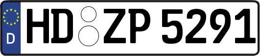 HD-ZP5291