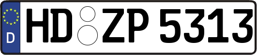 HD-ZP5313