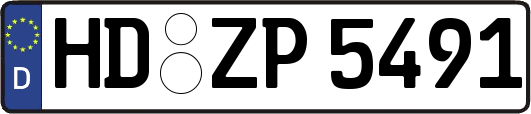 HD-ZP5491