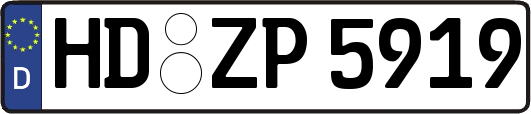 HD-ZP5919