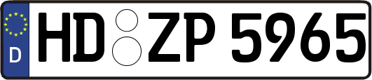 HD-ZP5965