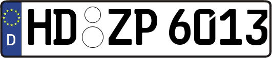 HD-ZP6013