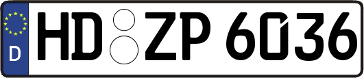 HD-ZP6036