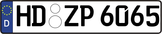 HD-ZP6065