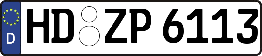 HD-ZP6113