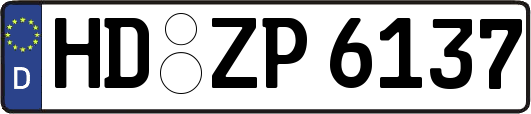 HD-ZP6137