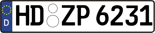 HD-ZP6231