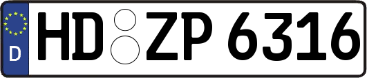 HD-ZP6316