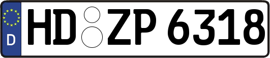 HD-ZP6318