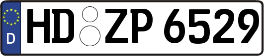 HD-ZP6529
