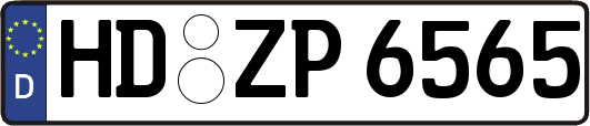 HD-ZP6565