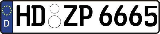 HD-ZP6665