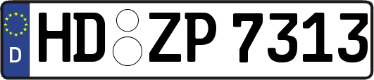 HD-ZP7313