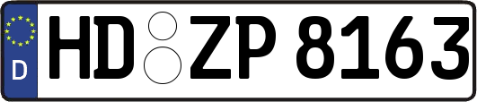 HD-ZP8163