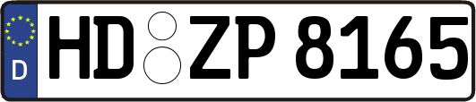 HD-ZP8165