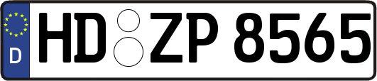 HD-ZP8565