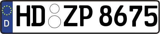 HD-ZP8675