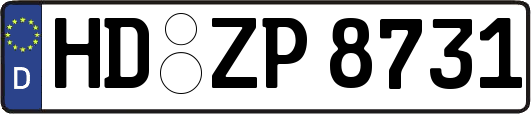HD-ZP8731