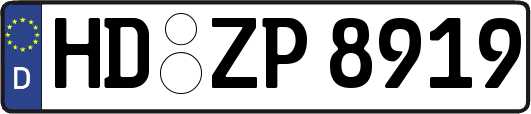 HD-ZP8919