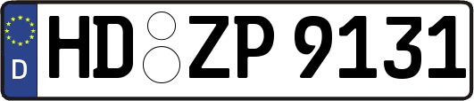 HD-ZP9131