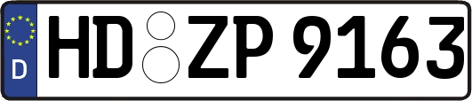 HD-ZP9163