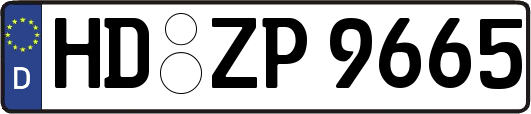 HD-ZP9665
