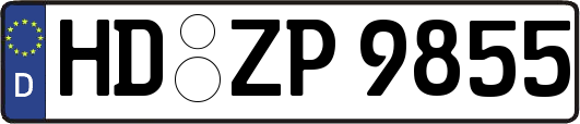 HD-ZP9855
