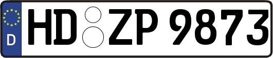 HD-ZP9873